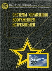 Системы управления вооружением истребителей: Основы интеллекта многофункционального самолета